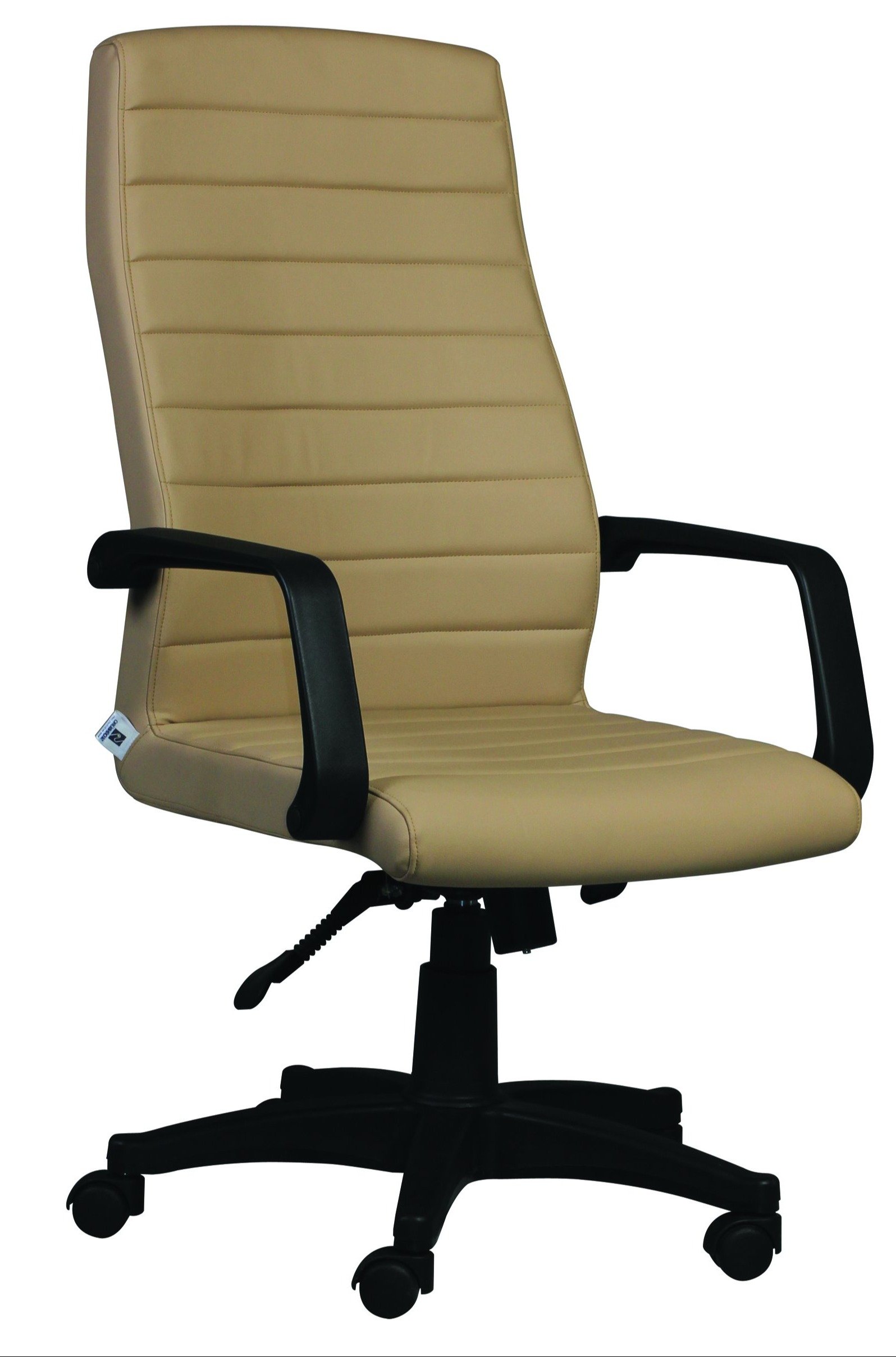 Next Plastik Ayaklı Yönetici Koltukları